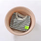 2Pcs Fashion Children Short Sleeve Shorts Sets Summer