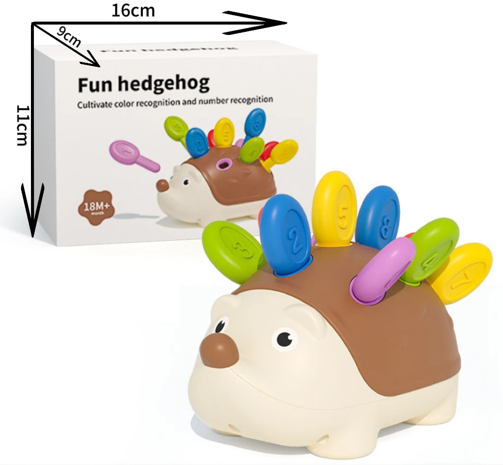 Hedgehog Montessori Baby Toys Hand eye Coordination Fine