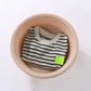 2Pcs Fashion Children Short Sleeve Shorts Sets Summer