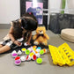 Matching Eggs Toys for Kids 1 2 3Toddlers